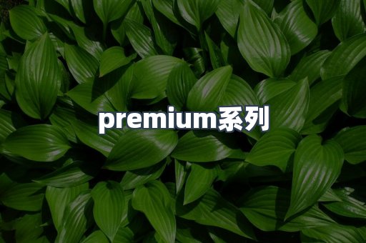 premium系列